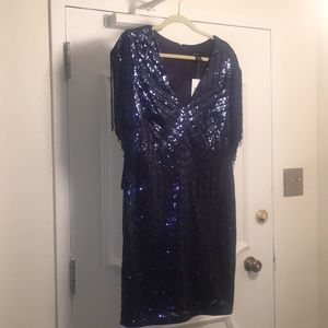 NWT never worn Deep blue sequin dress with fringe